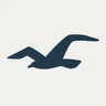 Abercrombie & Fitch and Hollister logo